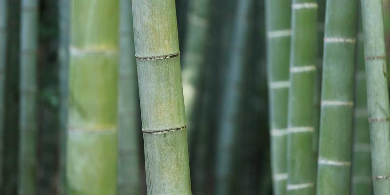 从理论到硬件：面向自动驾驶的毫米波雷达MMIC芯片设计教程与系统集成实战