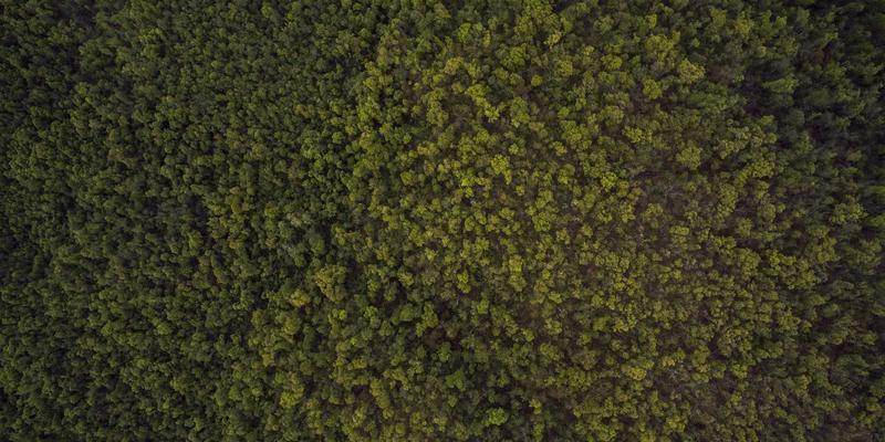 从零到一：基于RISC-V的物联网安全芯片硬件设计实战与可信执行环境搭建教程