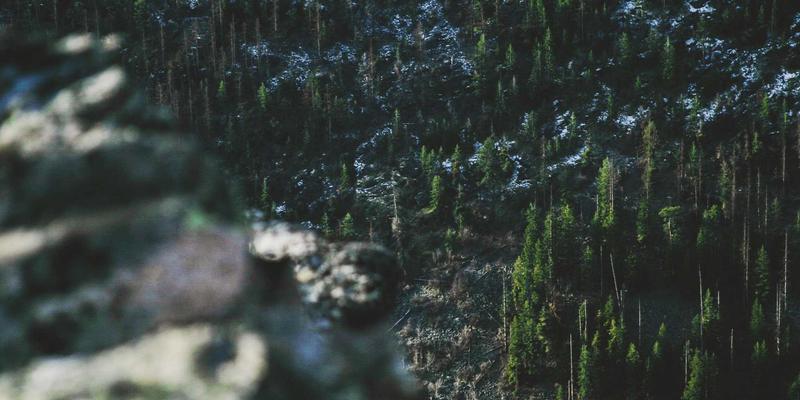 从零制作锁定放大器：硬件实战教程，让电子爱好者也能捕捉微弱信号