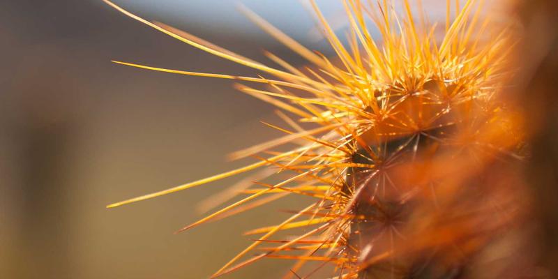 从零解析相控阵雷达T/R组件：硅基毫米波波束成形芯片实战教程