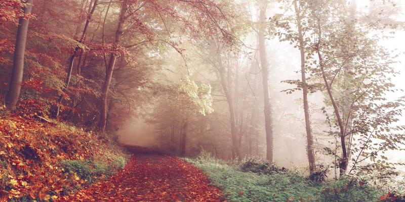 基于GaN的开关电源设计实战教程：如何实现更高功率密度与效率