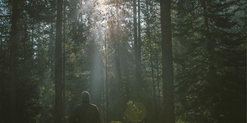 柔性可穿戴电子项目中的核心：可拉伸电路设计与传感器集成技术