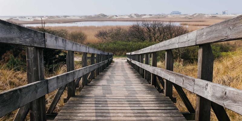 电子技术53：从电路设计到硬件制作的全流程解析