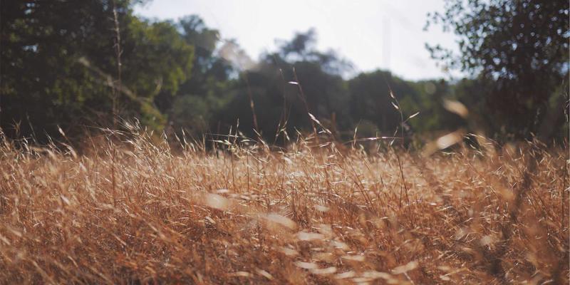 电子技术61:从核心原理到实践项目的完整指南
