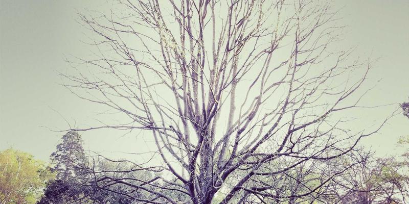 电子爱好者DIY指南：手把手教你理解相控阵雷达中的射频集成电路（RFIC）关键技术