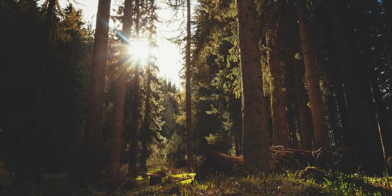电子爱好者必读：电路设计中电磁兼容性（EMC）设计与测试标准详解