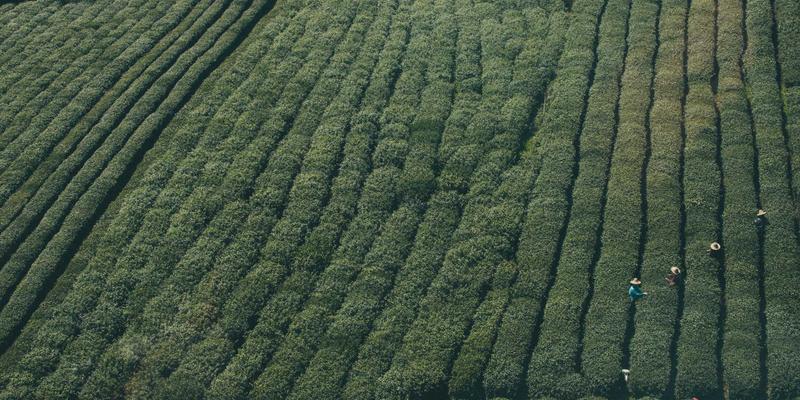 电子爱好者进阶指南：基于SiC与GaN的新能源汽车OBC设计挑战与DIY启示